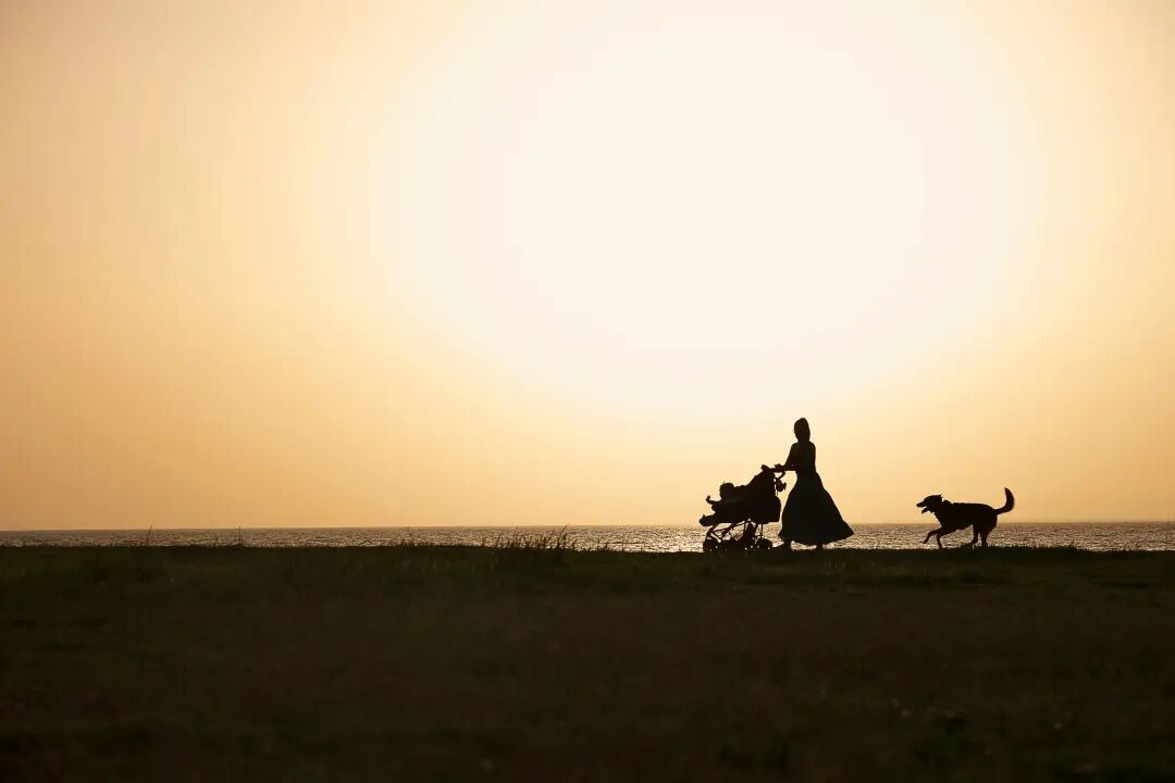 葆蒂兰国际集团 · 寻根之旅（第七章）