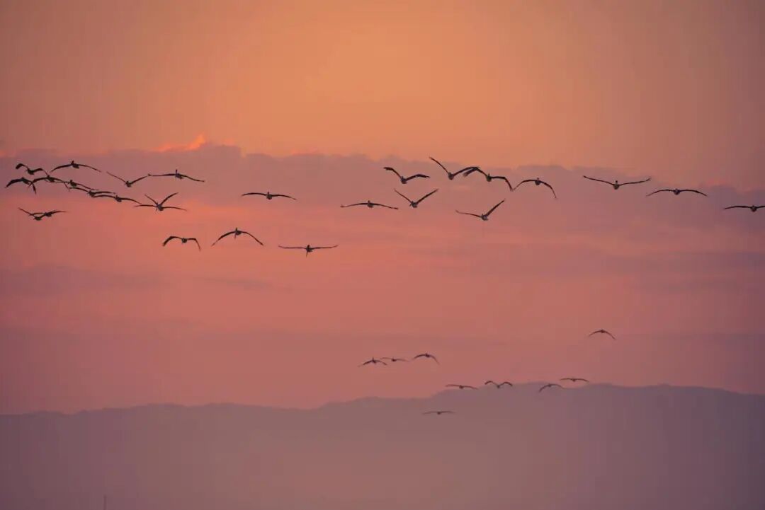 葆蒂兰国际集团 · 寻根之旅（第四章）