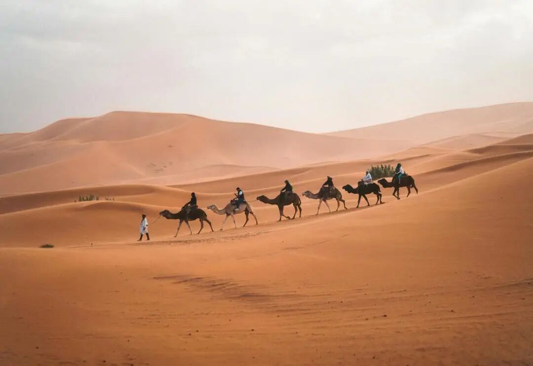 葆蒂兰国际集团 · 寻根之旅（第四章）