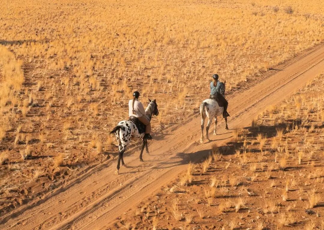 葆蒂兰国际集团 · 寻根之旅（第四章）