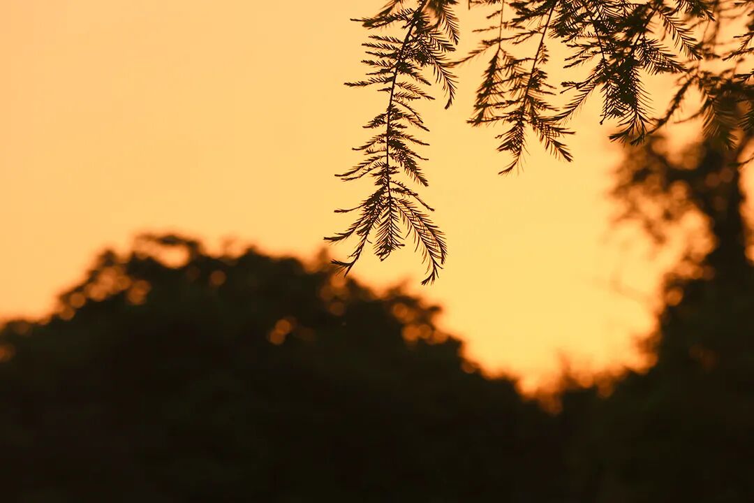 十一月你好｜以成熟拥抱收获，以沉淀奔赴新程！