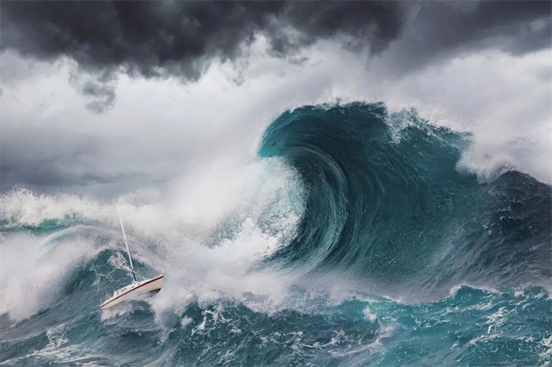 十一月你好｜以成熟拥抱收获，以沉淀奔赴新程！