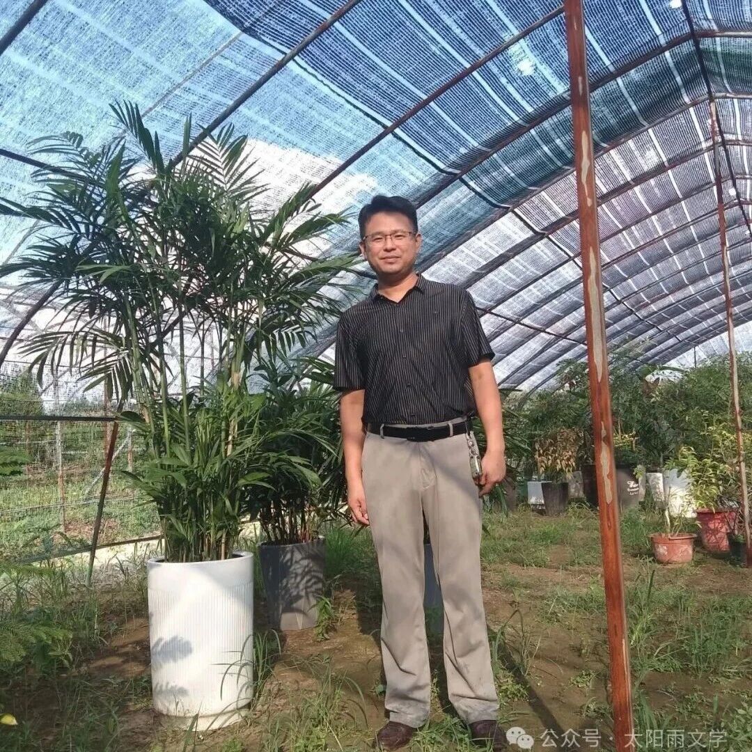 孙浩:既亮还懿终茫茫