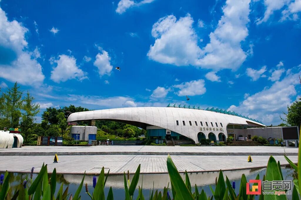 自贡恐龙博物馆正门