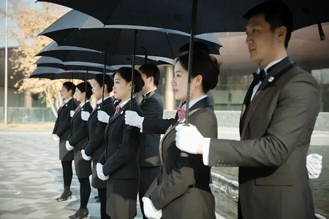 物业内的花瓣采集图片-都子°