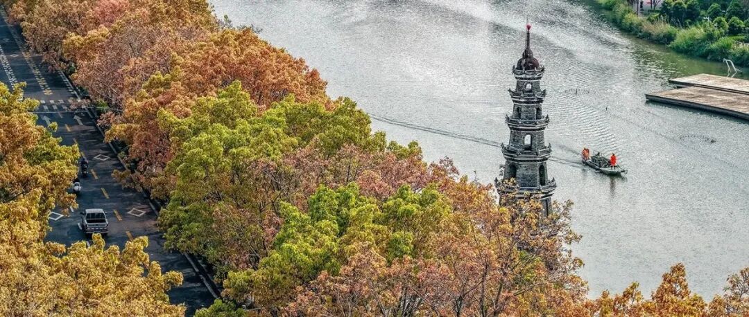 文章封面