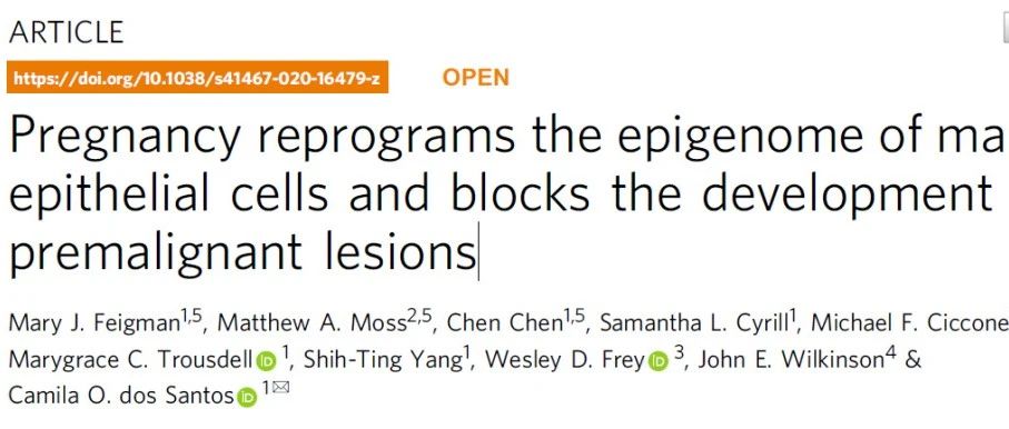 Nature子刊：怀孕重编程乳腺上皮细胞，降低乳腺癌发生