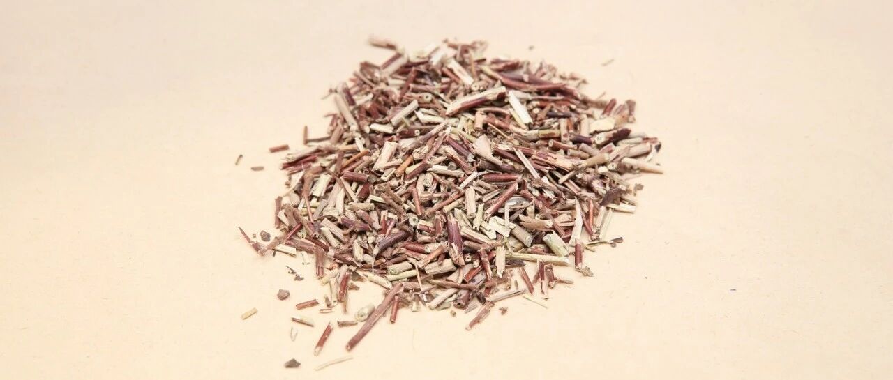 每天认识一味中药——忍冬藤