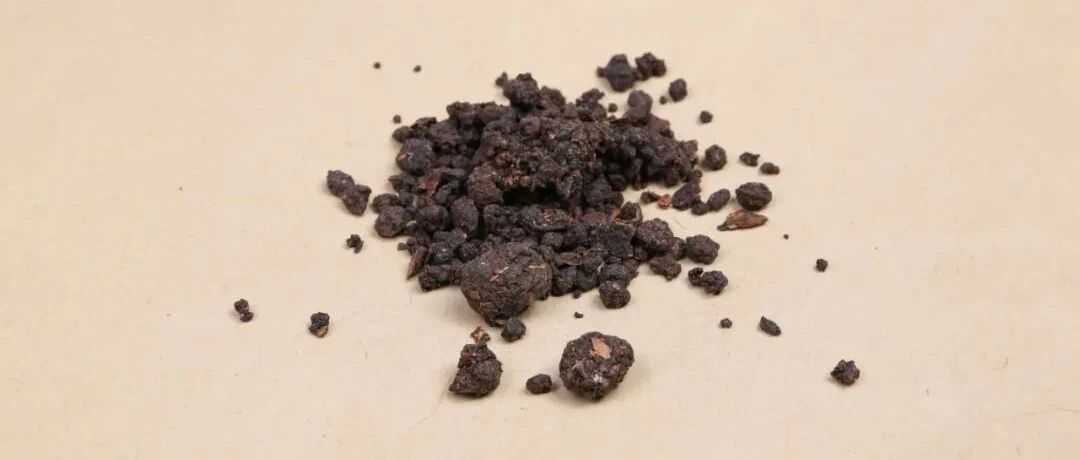 每天认识一味中药——没药