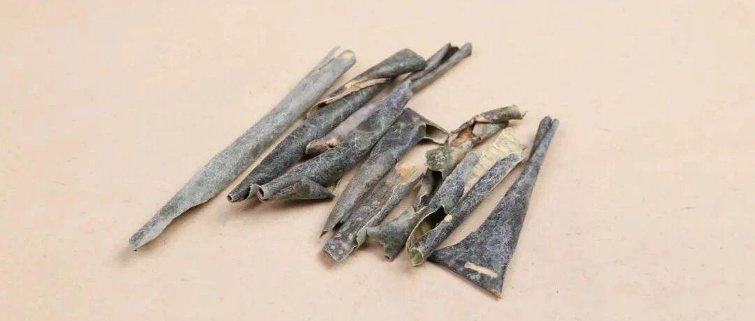 每天认识一味中药——冬瓜皮