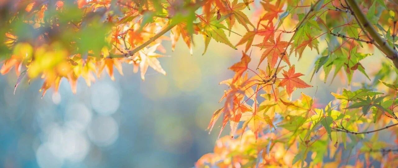 病从寒起，寒从脚生——有些人不适合秋冻