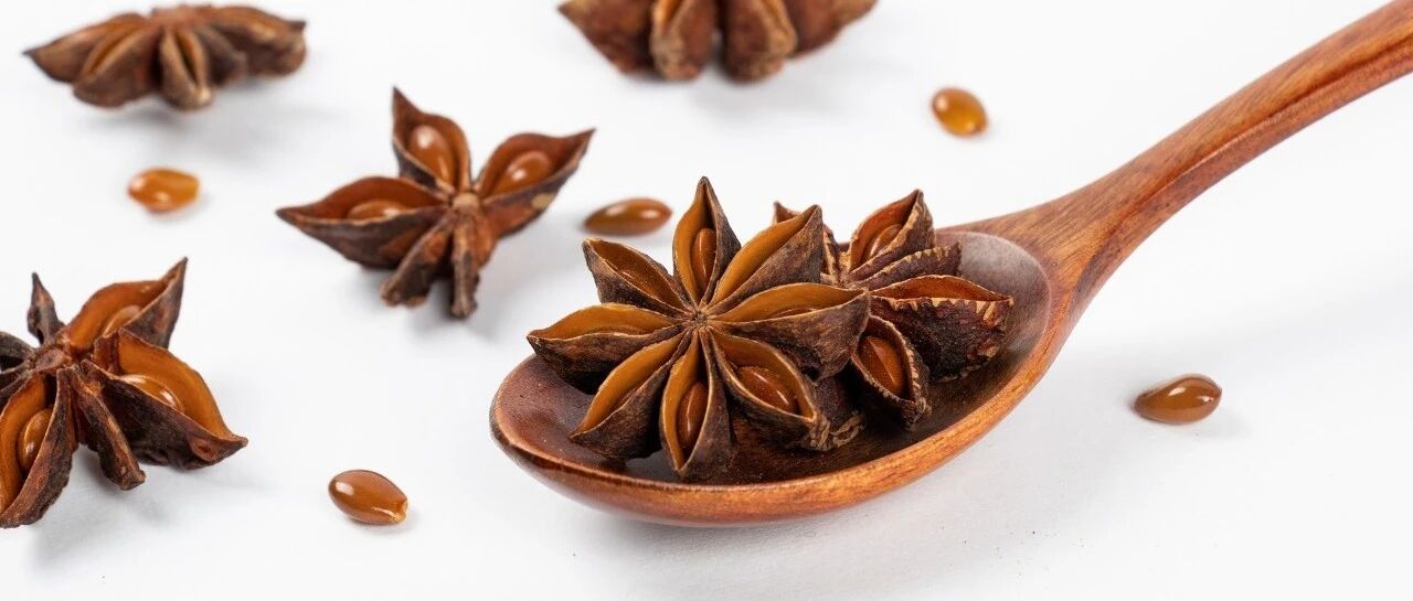 每天认识一味中药——八角茴香