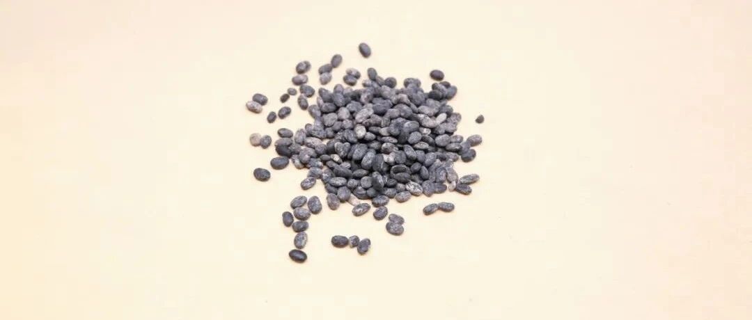 千金药对丨治风湿痹痛、麻木，淡豆豉与吴茱萸