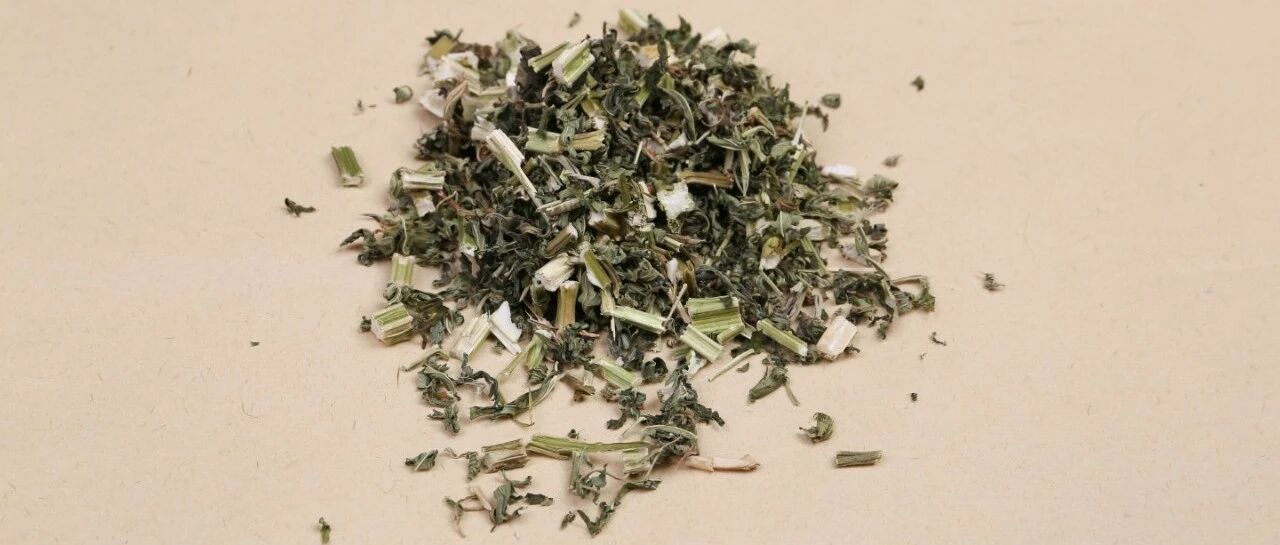 每天认识一味中药——益母草