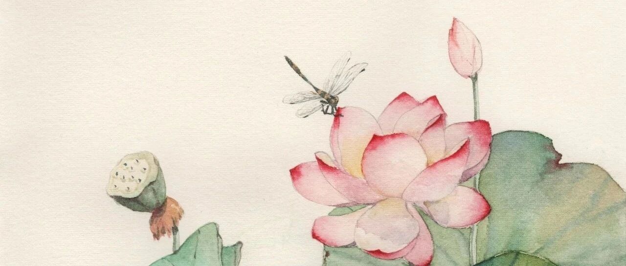 意想不到治疗阳痿的10种虫类药