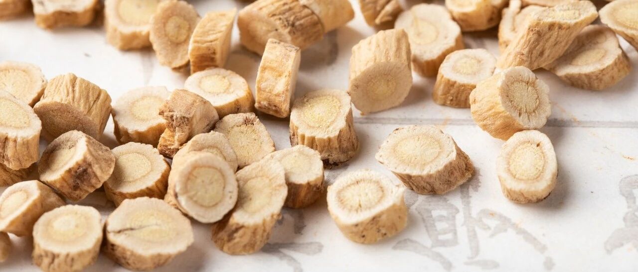 工作疲劳气血虚？黄芪当归泡水喝