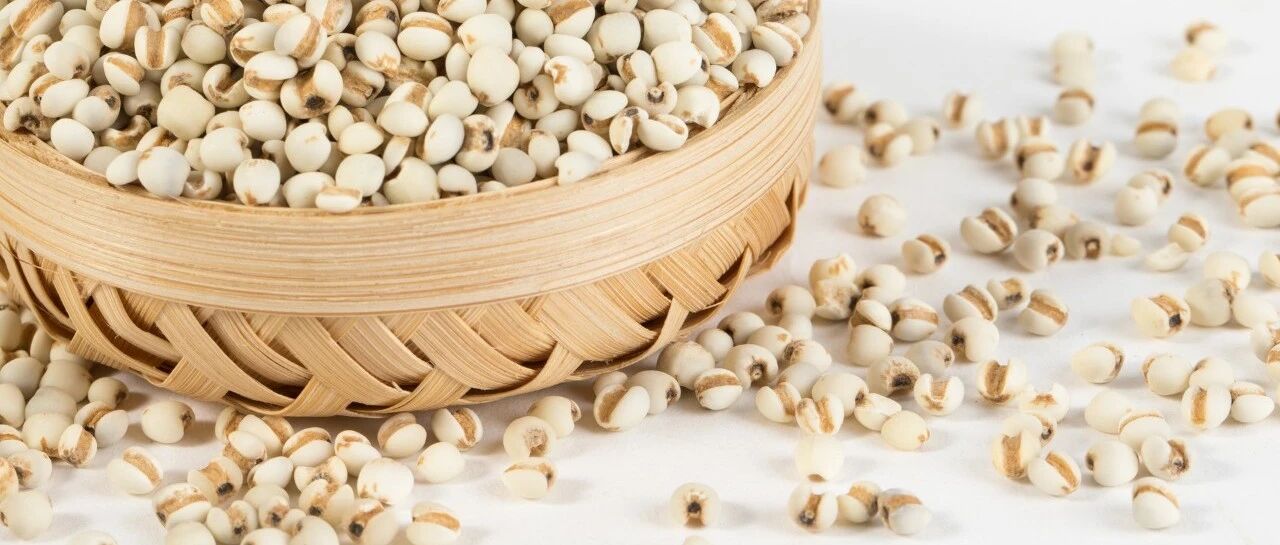 祛湿3法，赶走一身“湿气”