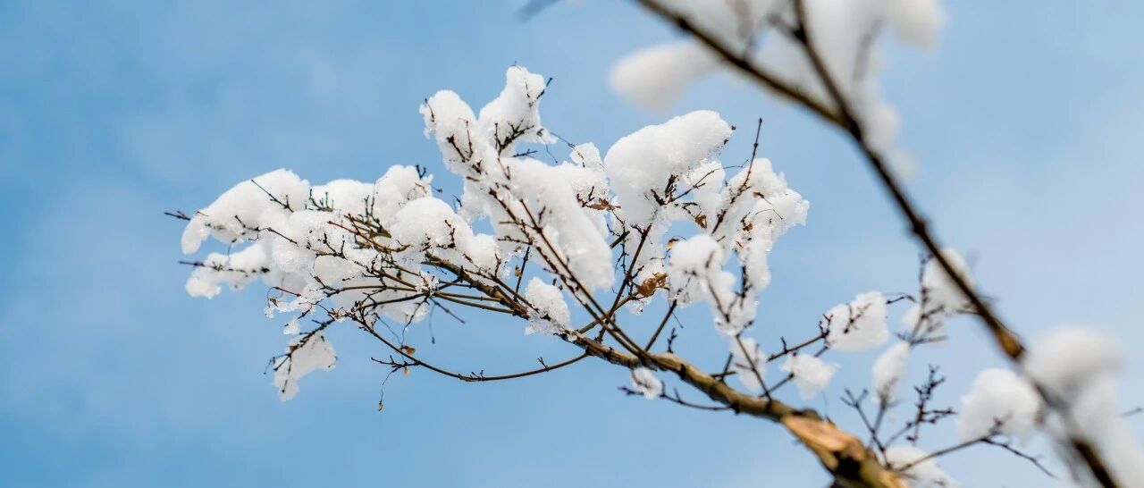 冬至运动不宜大汗，饮食温润