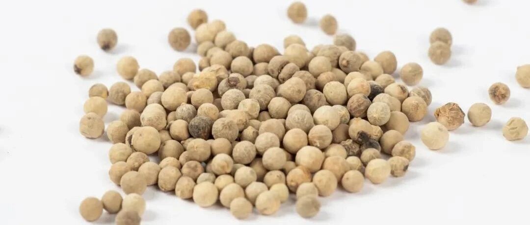 贴敷治前列腺增生验方6则