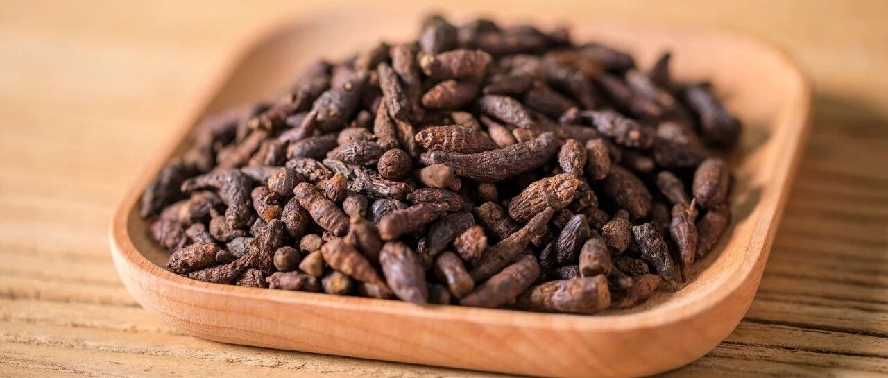 每天认识一味中药——香附