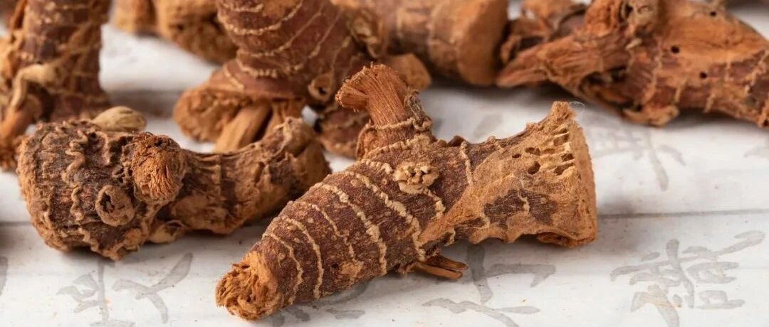 治胃痛、胃胀可用的 11 种中成药（如何选用）