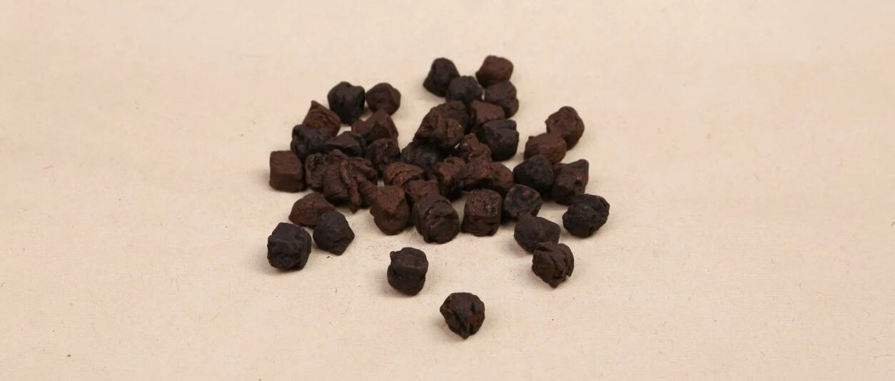 每天认识一味中药——神曲