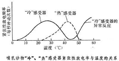 透热疗法有哪些【科普帖】热疗常识知多少_https://www.jmylbn.com_新闻资讯_第2张
