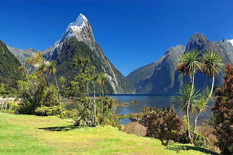 Tourism in New Zealand - Wikipedia