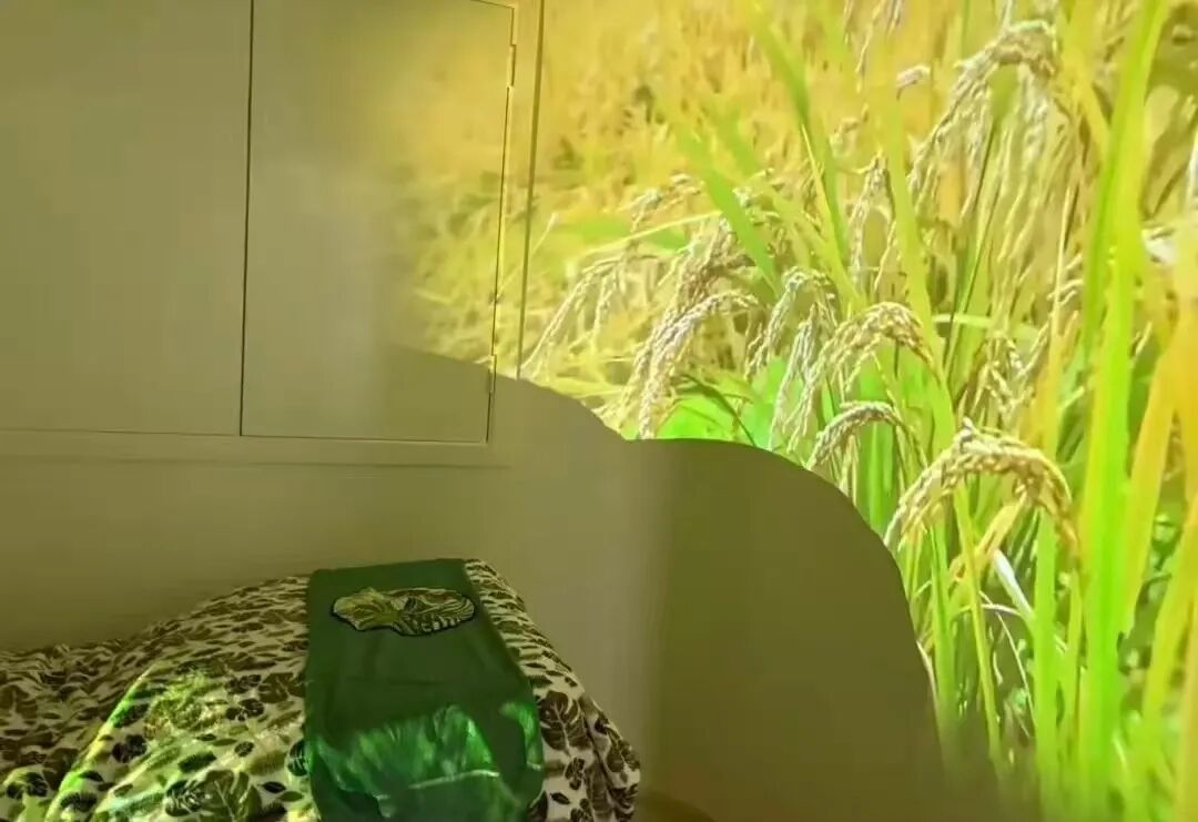 新无限医疗怎么加盟【岳阳 ｜ 国际医疗部】健康无界、服务无限，一站式医疗新体验_https://www.jmylbn.com_新闻资讯_第3张