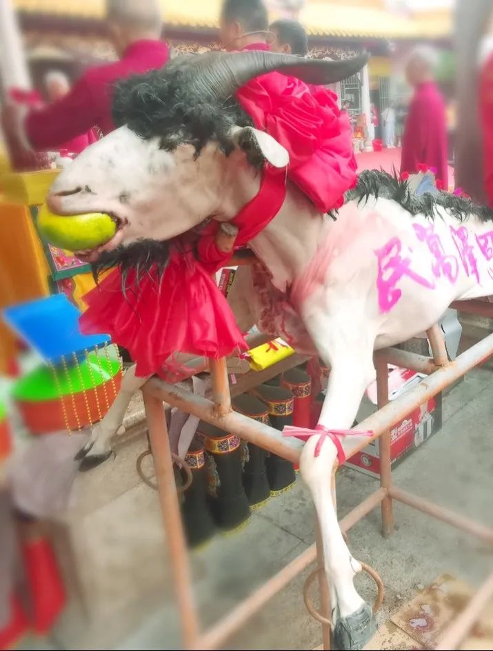 祭典盛宴