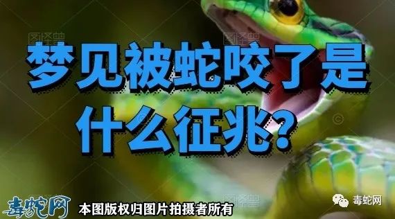 问:梦见被蛇咬了是什么征兆？”