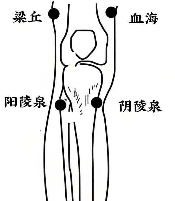 膝盖的经络图图片