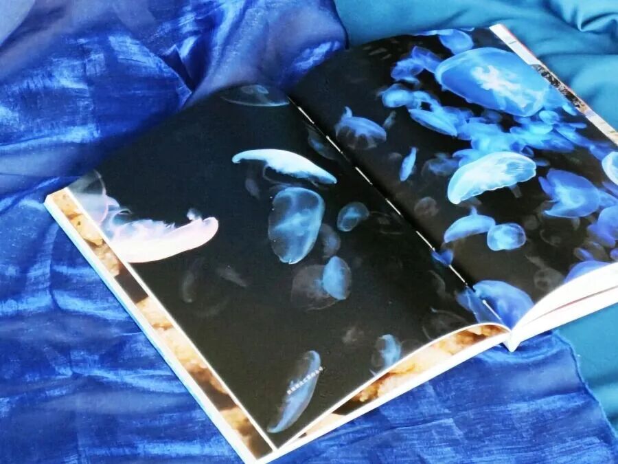 IMG_20251212_095204 拷贝.jpg