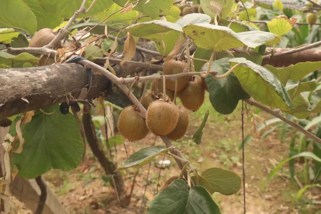 IMG_6408.JPG