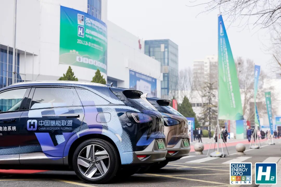 2_1600_3000_gif (3).jpg