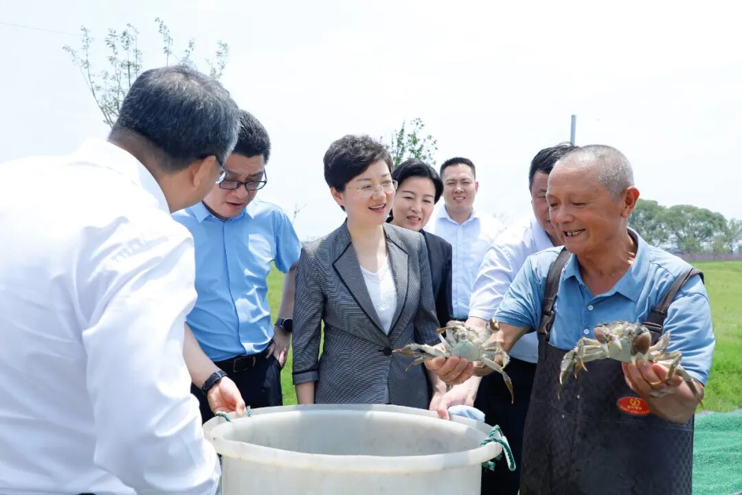 陈丽艳赴昆山巴城镇调研大闸蟹产业发展并开展巡河湖工作