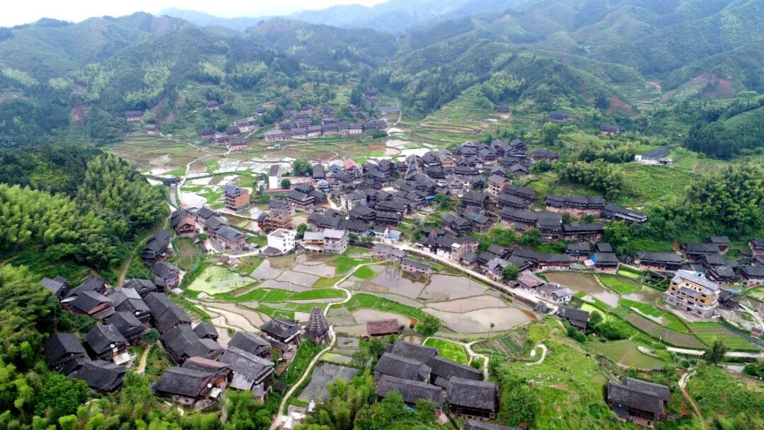 侗族风情美三江茶飘香文旅部乡土中国诗画生活主题推荐线路