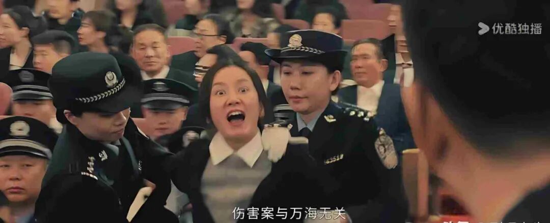 以法之名反派全是疯批