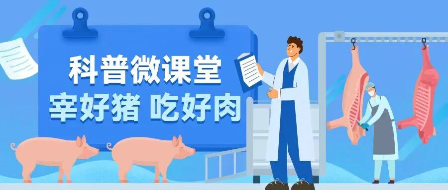 第3期：教你区分白条肉和分割肉