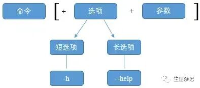 linux入门学习指南