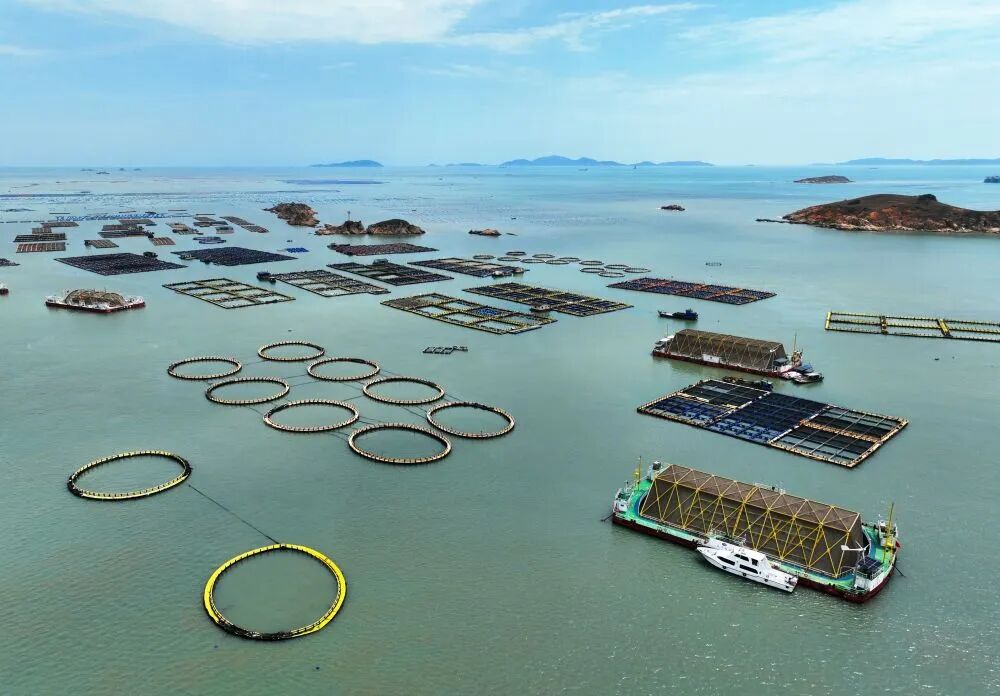 世界海洋日｜新华社关注：以高质量发展走好中国特色向海图强之路！