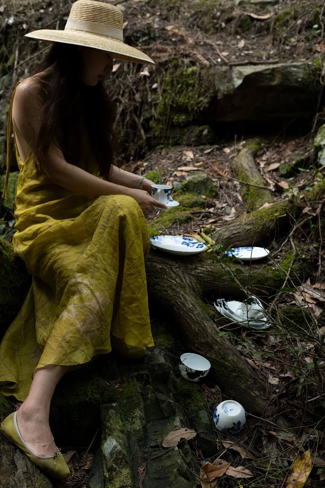 跳舞兰的花语和寓意_跳舞兰和文心兰有什么区别_跳舞兰