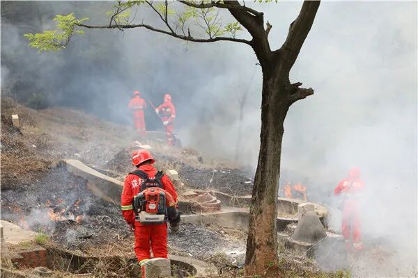 严禁！严禁！严禁！