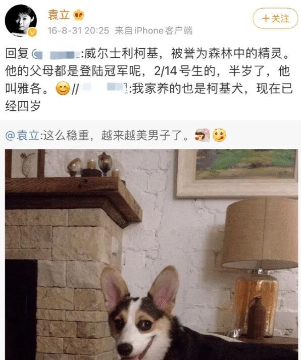分手后狗子被前男友带走，却半夜自己偷跑回来，笑得一脸谄媚：别不要我…（组图） - 9