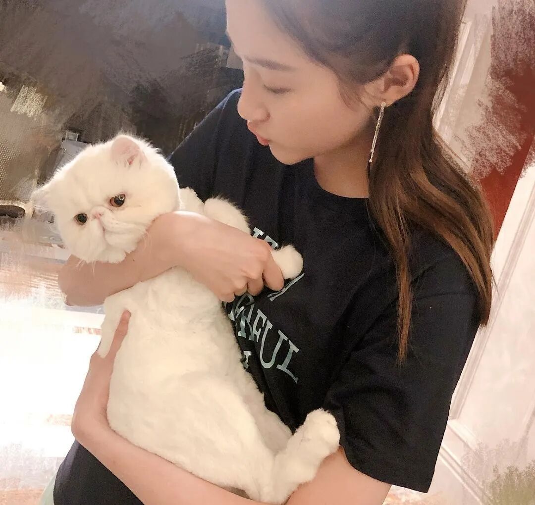 看到关晓彤给狗起的名字,网友狂笑:比我还敷衍哈哈哈!