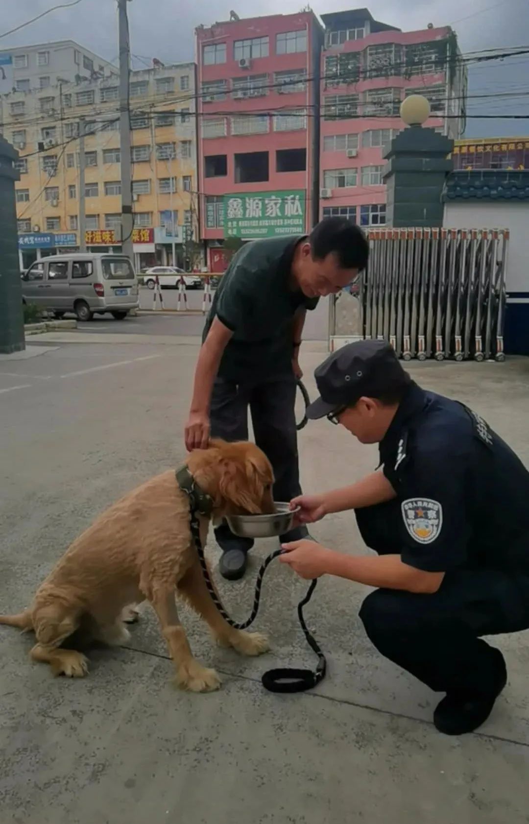 有人報警稱「發現瘋狗，請求擊殺！」可民警看到瘋狗時都懵了...結局超暖！ 寵物 第15張