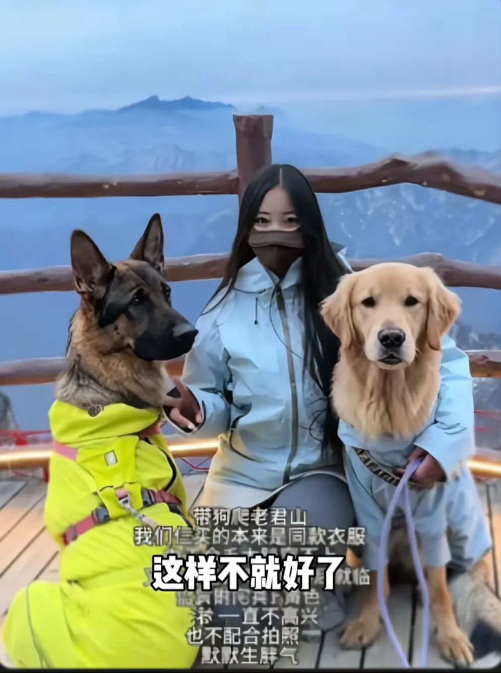 狗被车碾压因太胖毫发无损