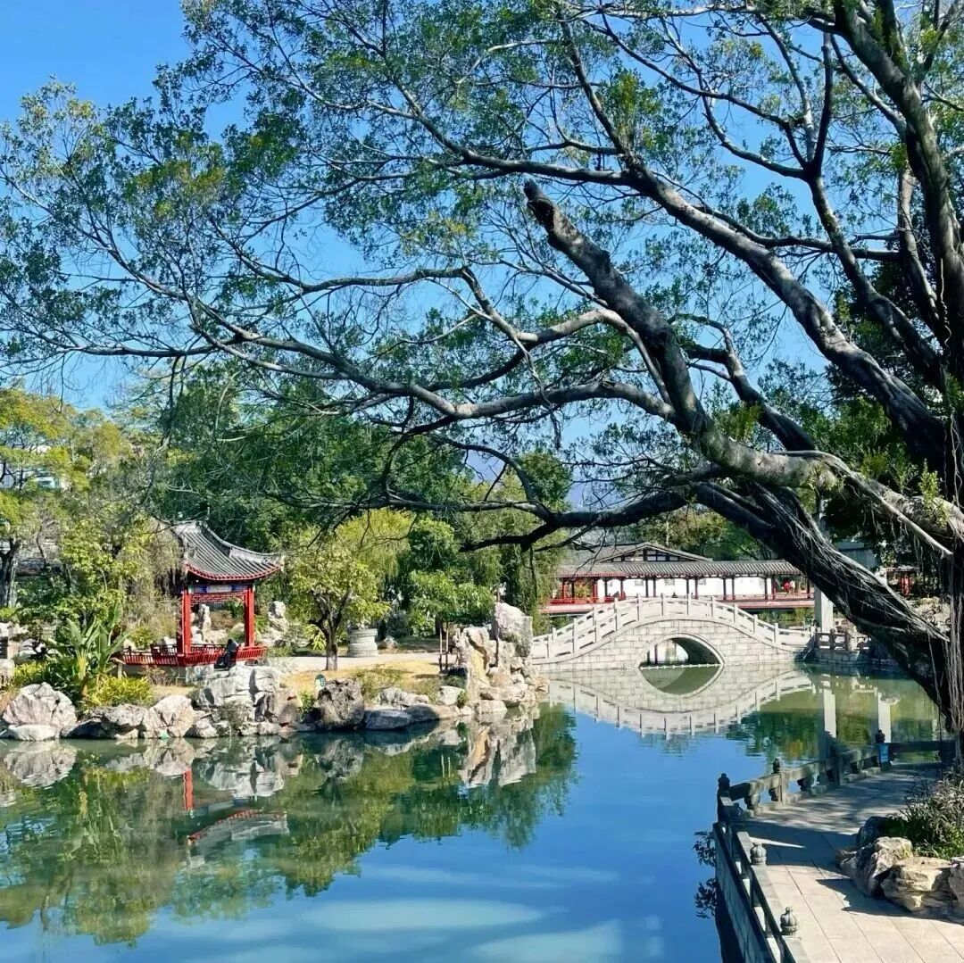 百年商埠藏夏意，在台江解锁专属盛夏漫游指南→