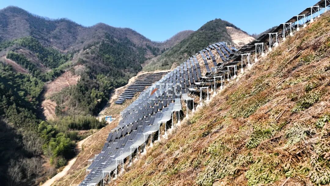 全力以赴 | 桐庐县合村乡80MW/120MWp农光互补共富示范项目与时间赛跑(图3)