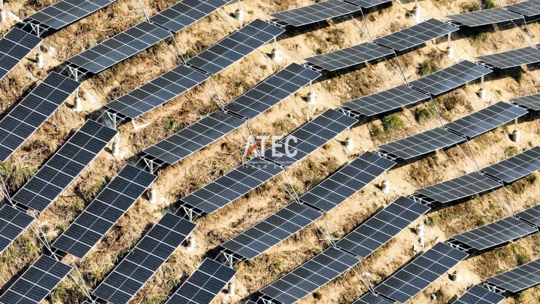 全力以赴 | 桐庐县合村乡80MW/120MWp农光互补共富示范项目与时间赛跑(图4)